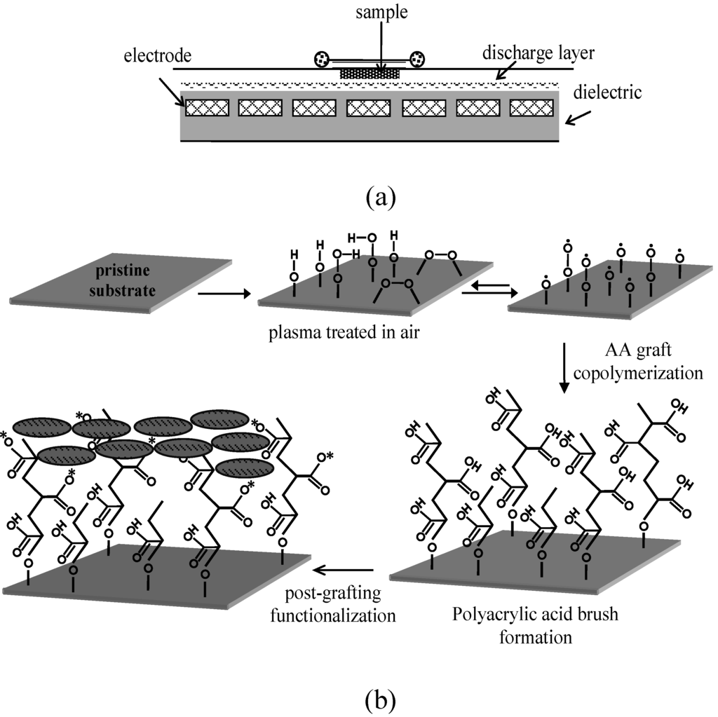 Materials 05 02937 g003 1024
