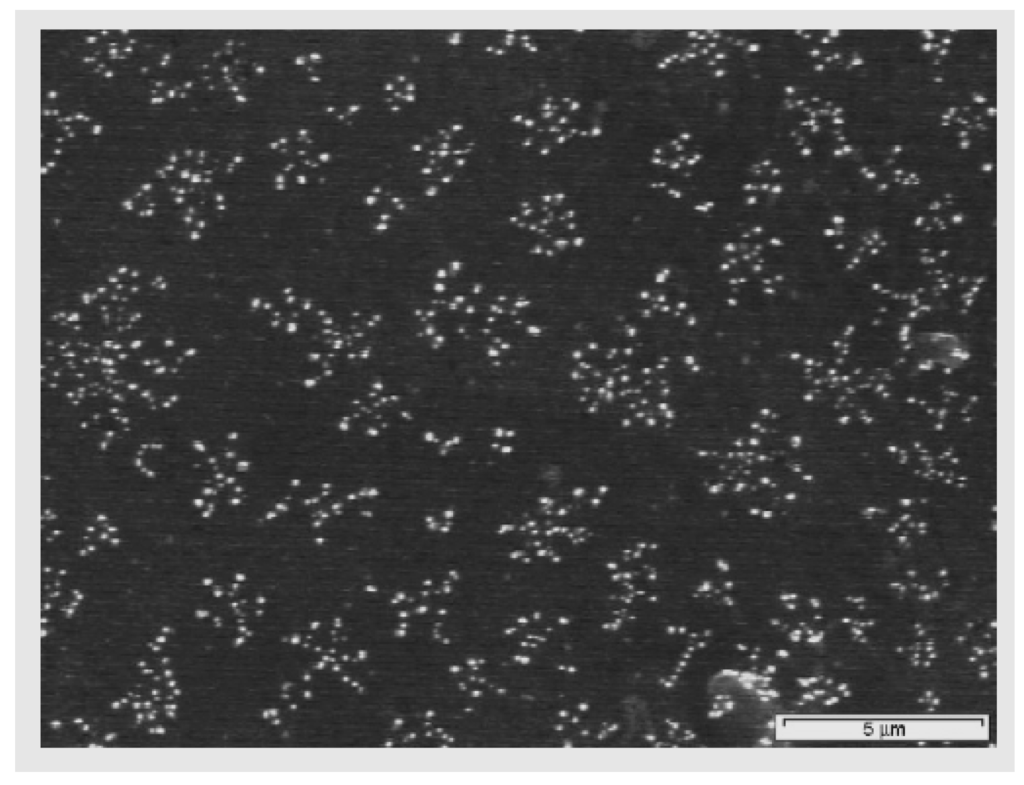 Materials 05 02937 g011 1024