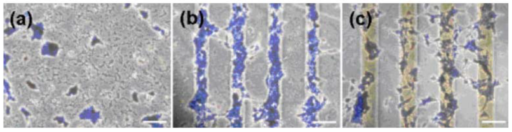 Materials 05 02937 g015 1024