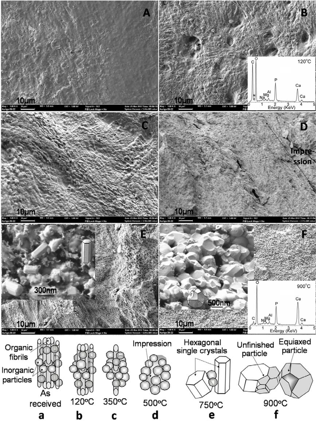 Materials 06 00065 g004 1024