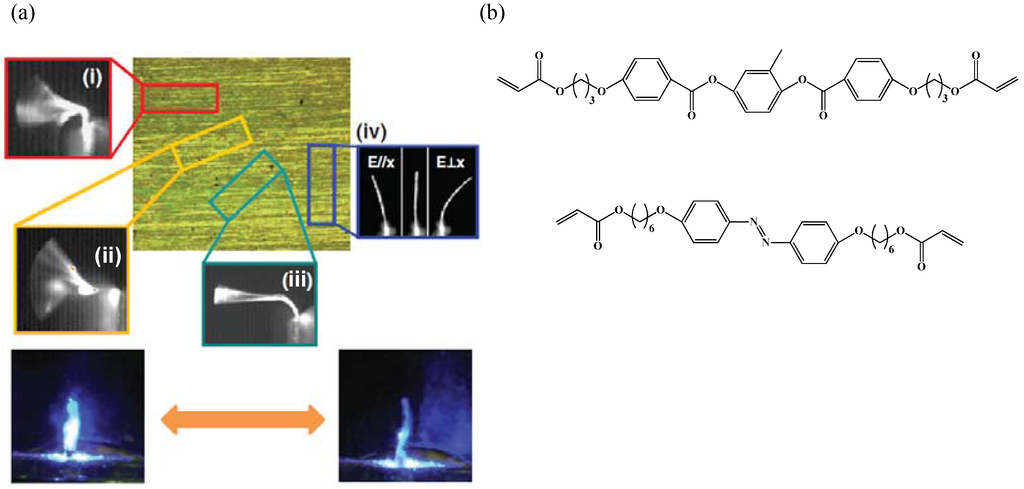 Materials 06 00116 g015 1024