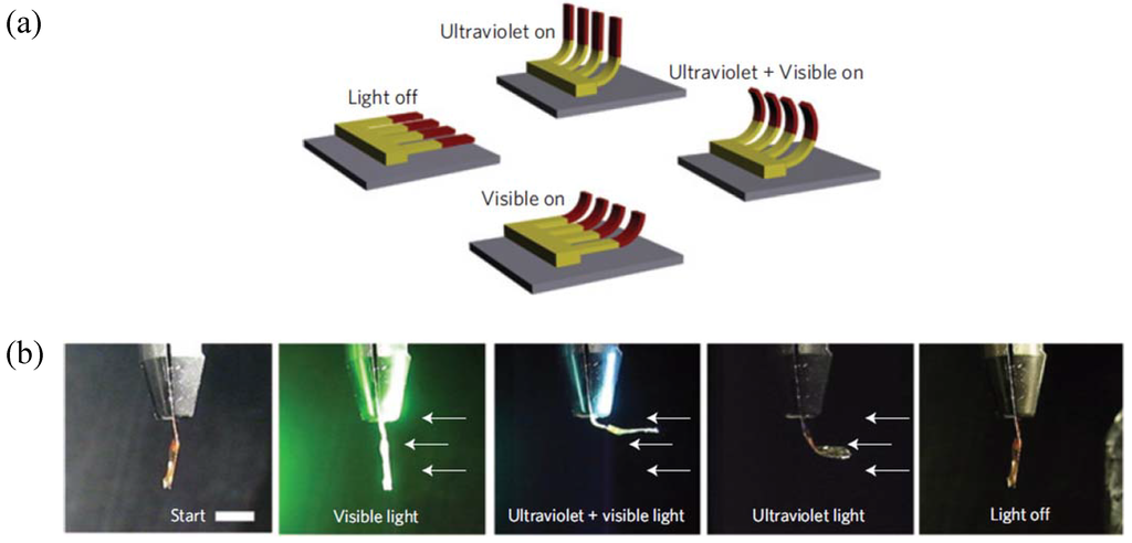 Materials 06 00116 g020 1024