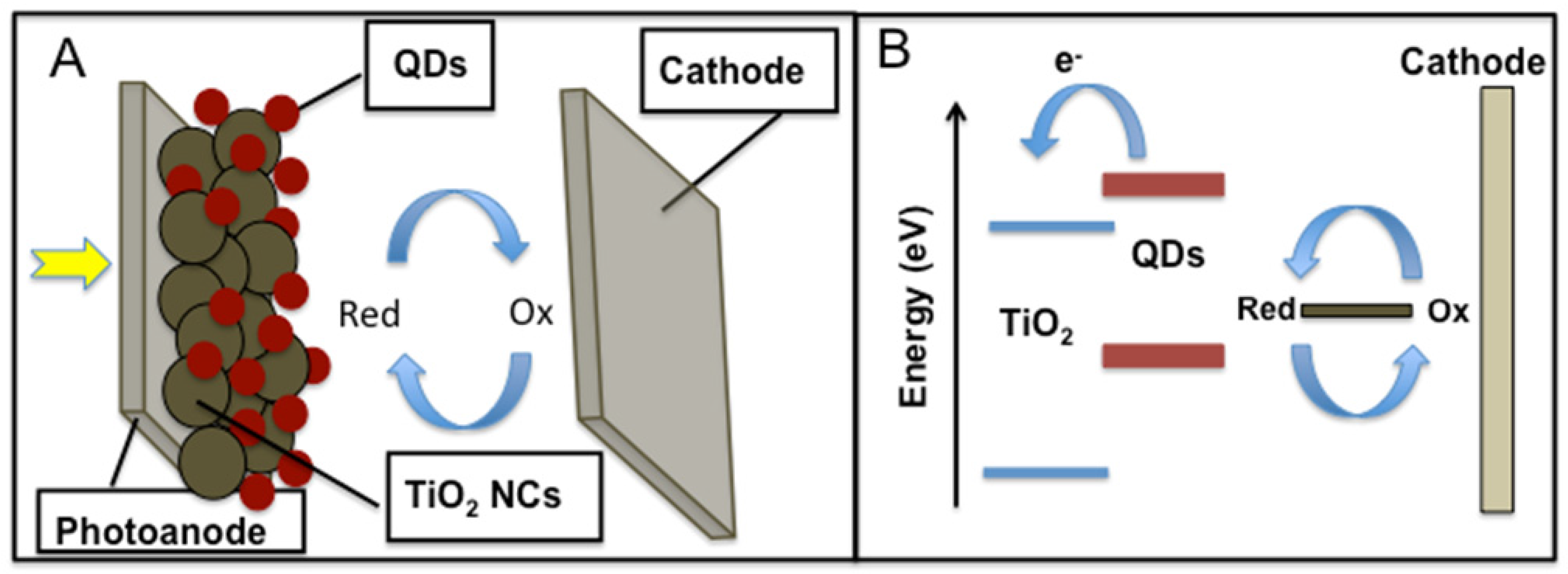 Materials 06 00445 g004