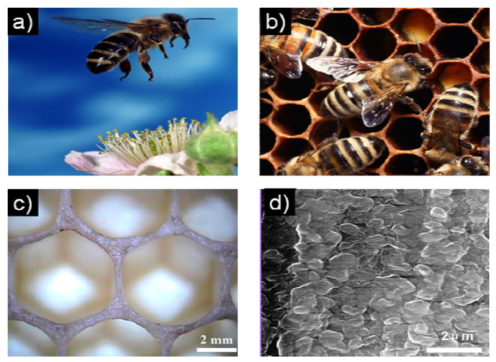 Materials 06 00460 g001 1024