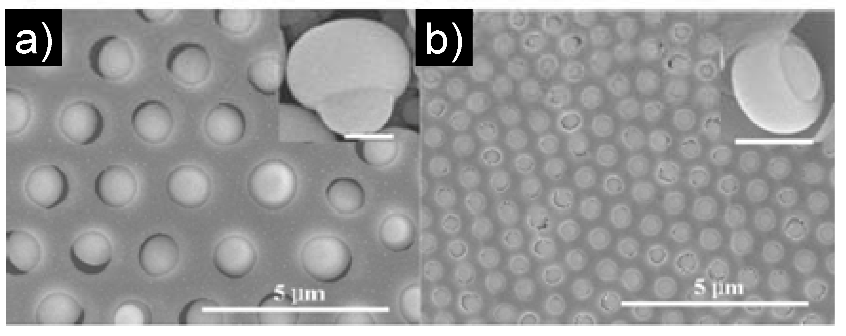 Materials 06 00460 g006