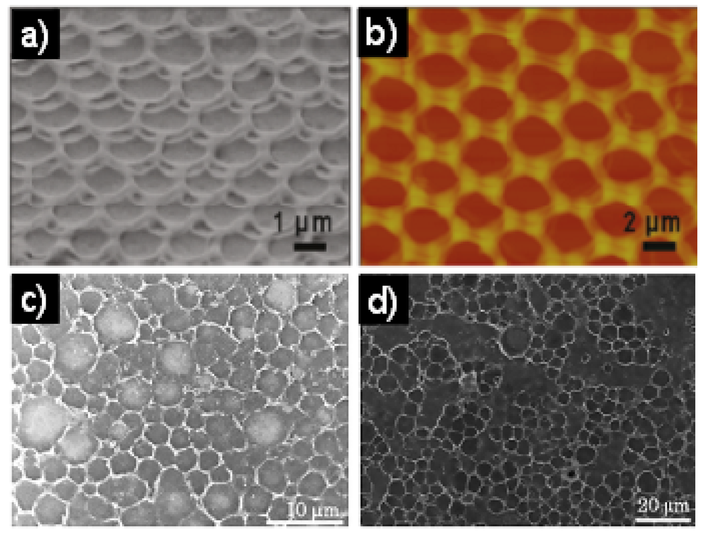 Materials 06 00460 g011 1024