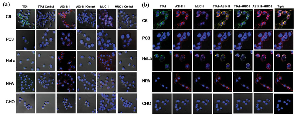 Materials 06 00483 g003 1024