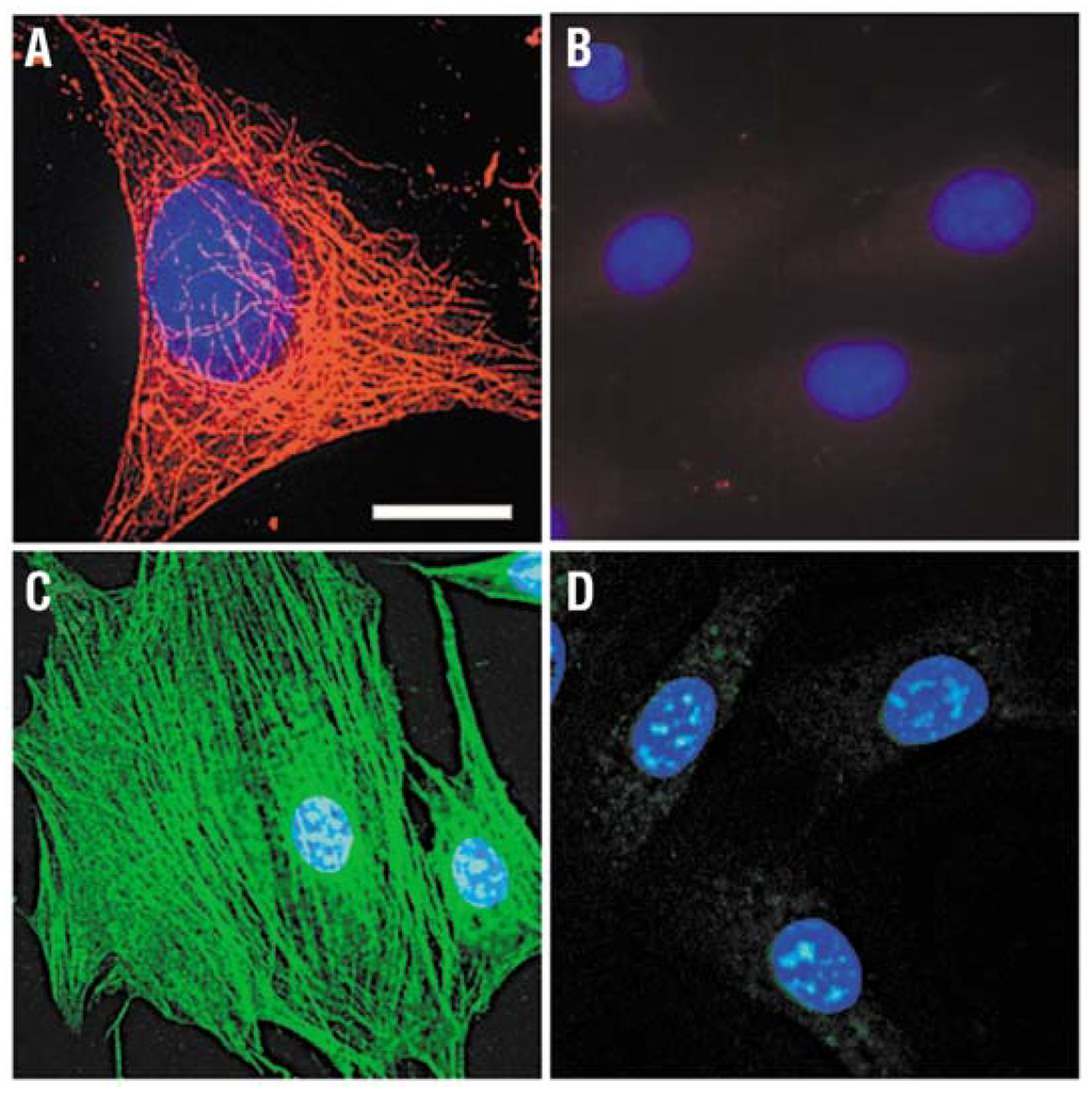 Materials 06 00483 g004 1024