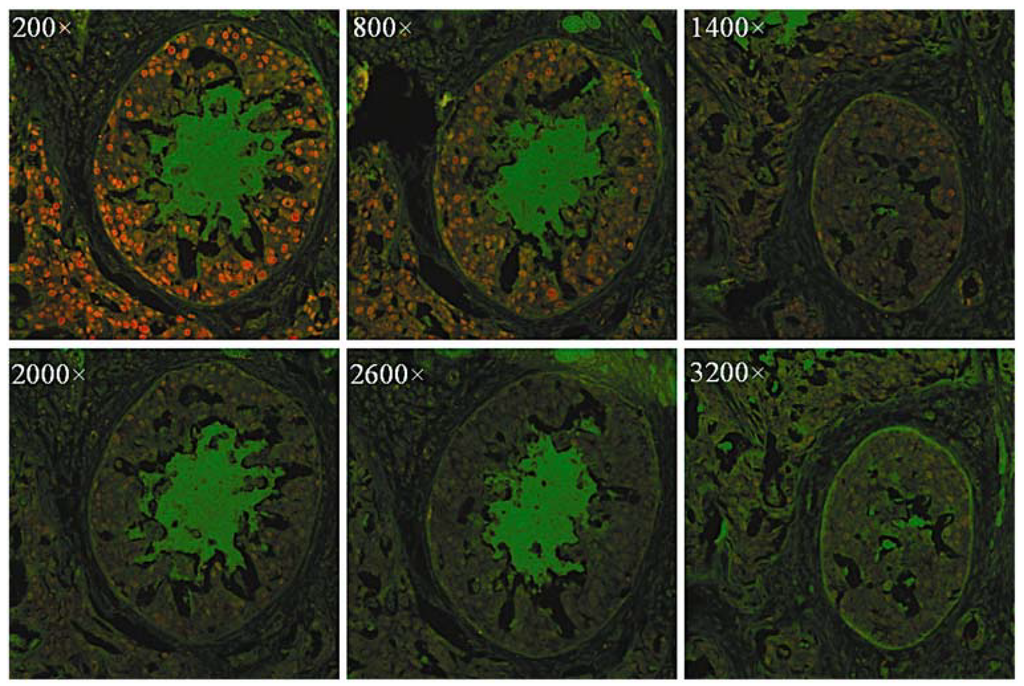 Materials 06 00483 g005 1024