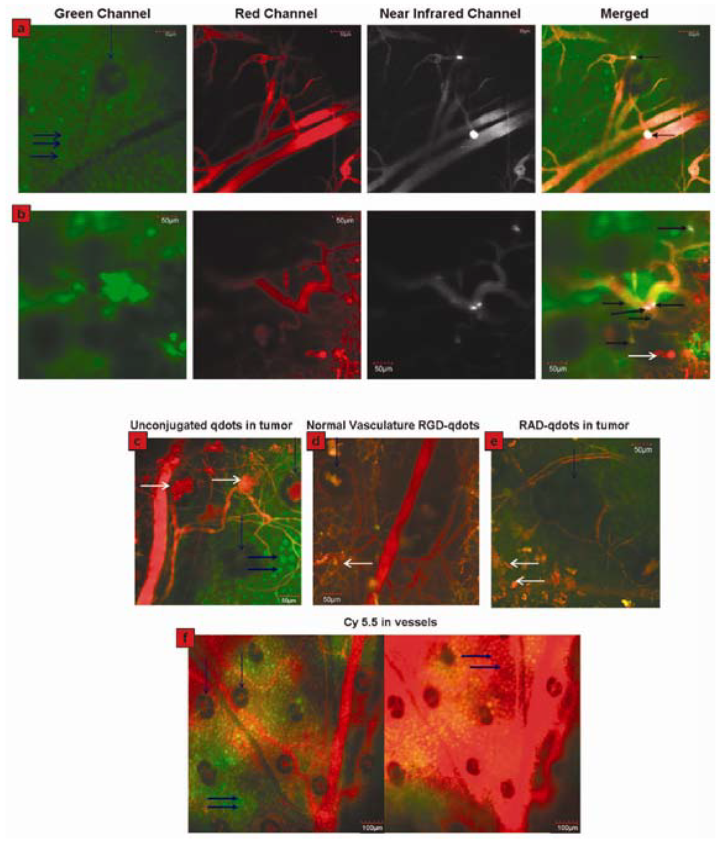 Materials 06 00483 g006 1024