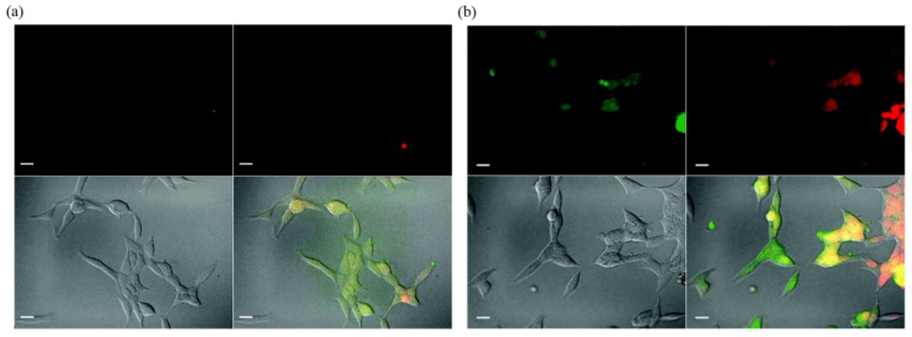 Materials 06 00483 g010 1024