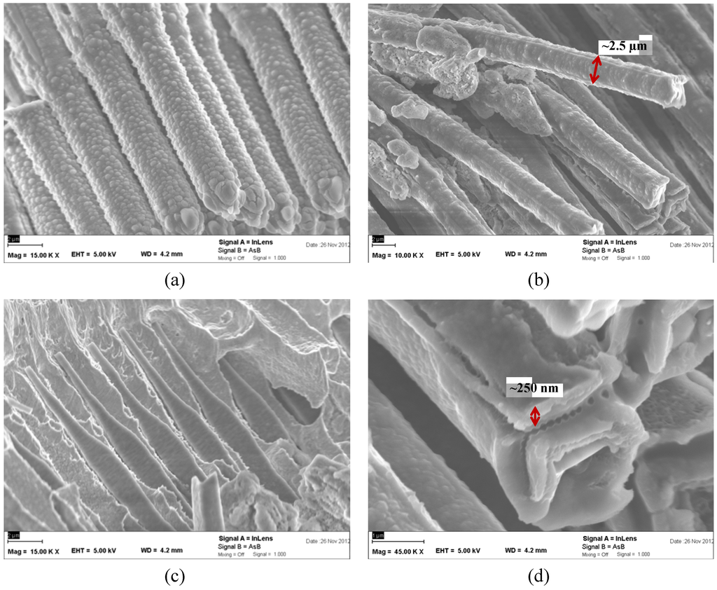 Materials 06 00626 g004 1024