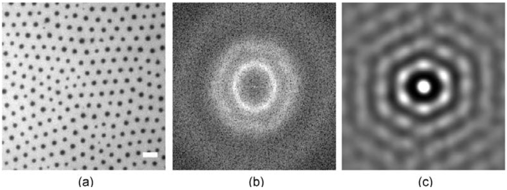 Materials 06 00669 g005a 1024