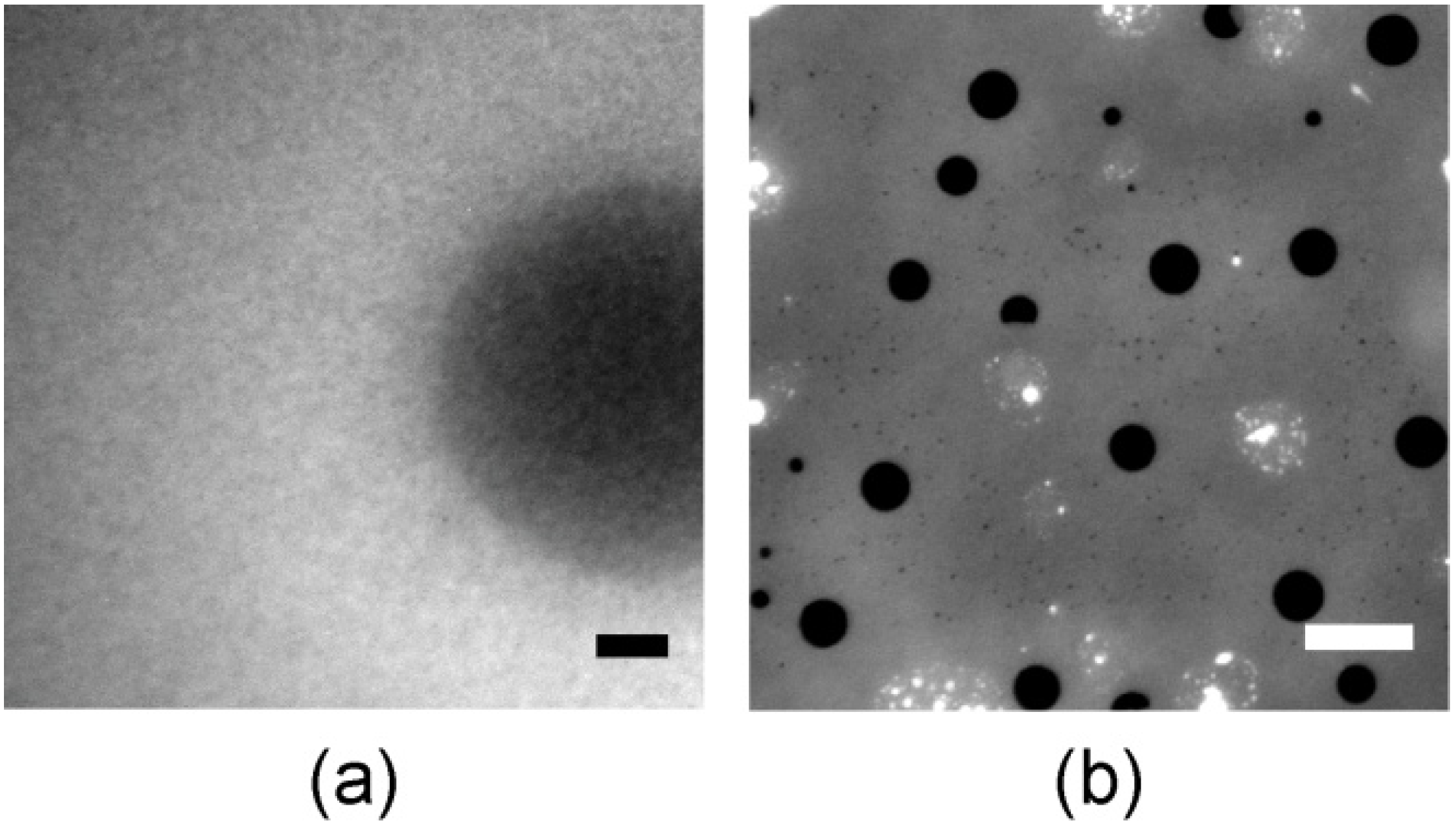 Materials 06 00669 g006