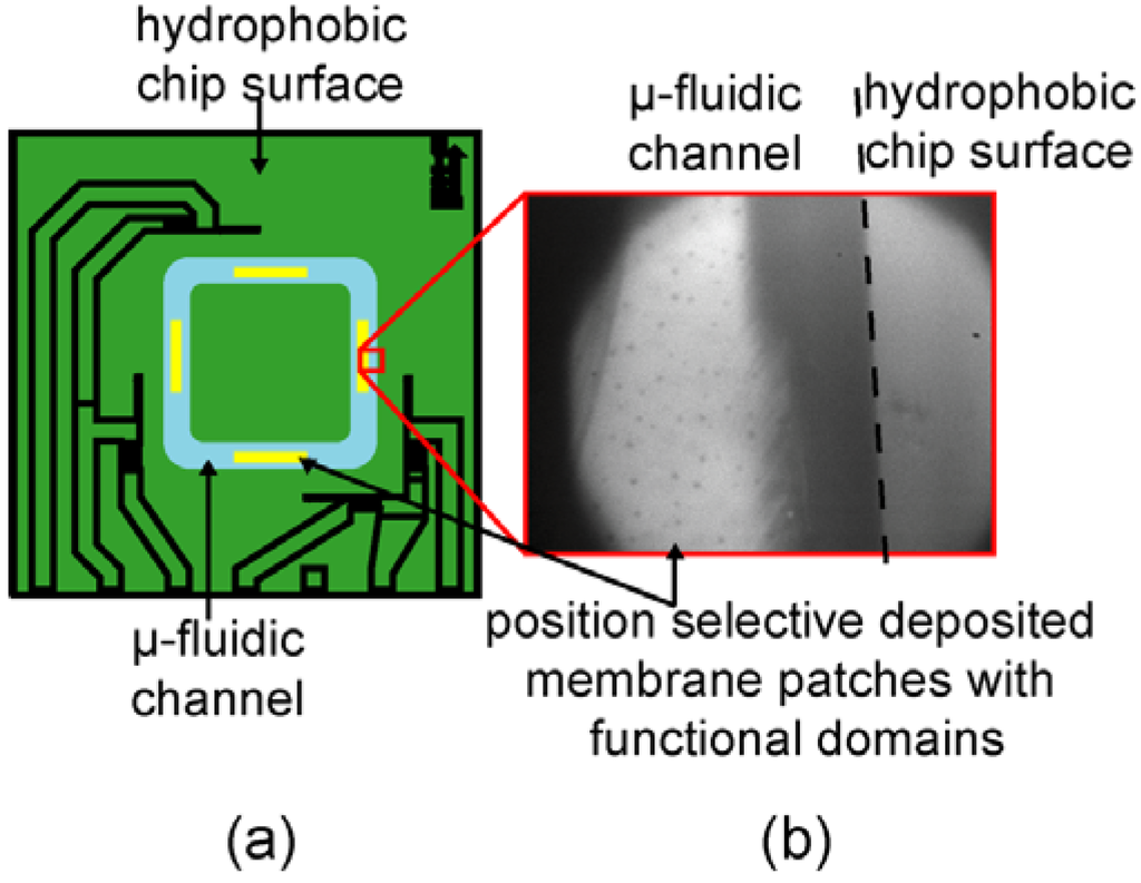 Materials 06 00669 g008 1024
