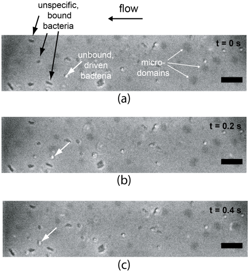 Materials 06 00669 g009 1024
