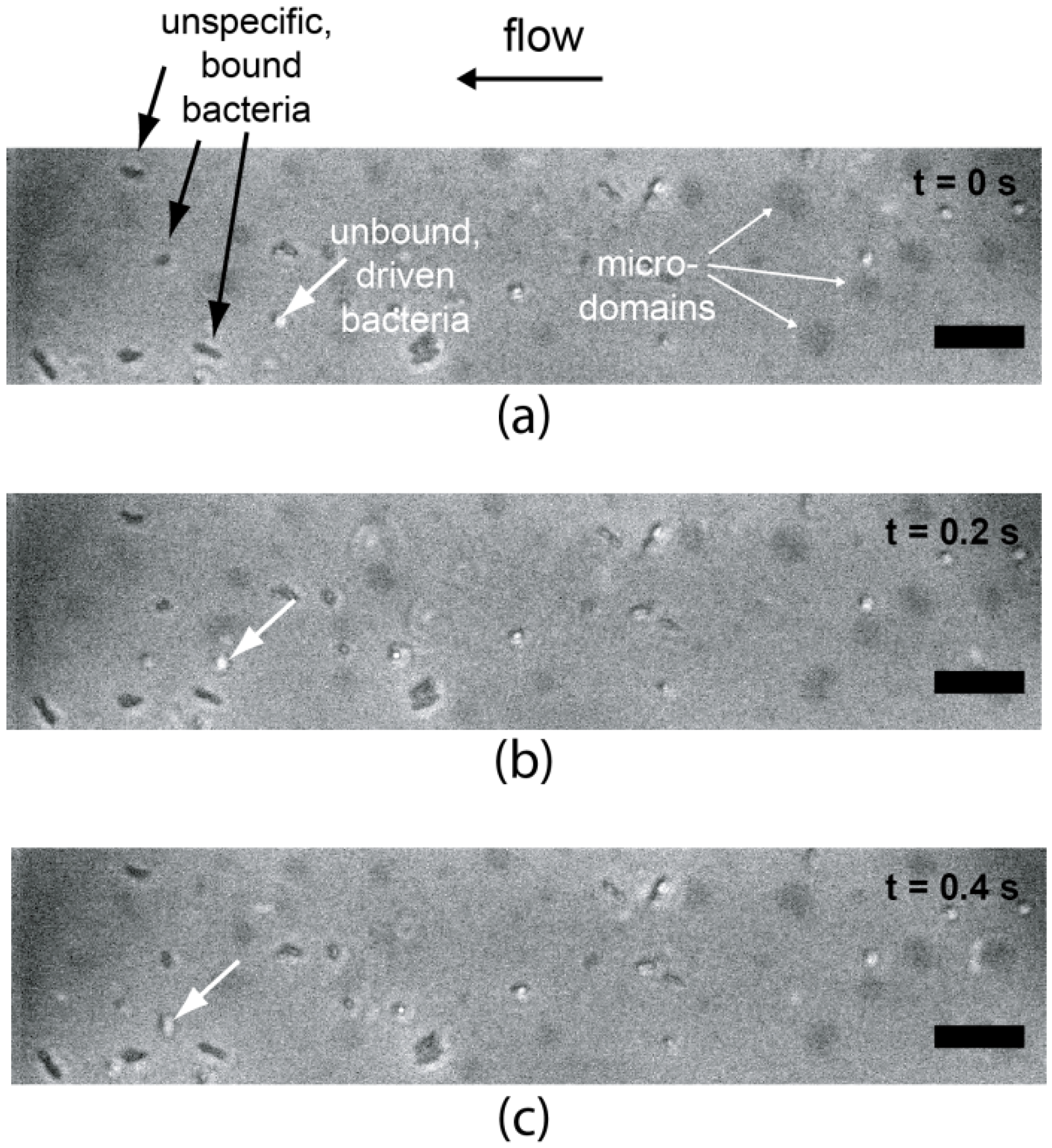 Materials 06 00669 g009