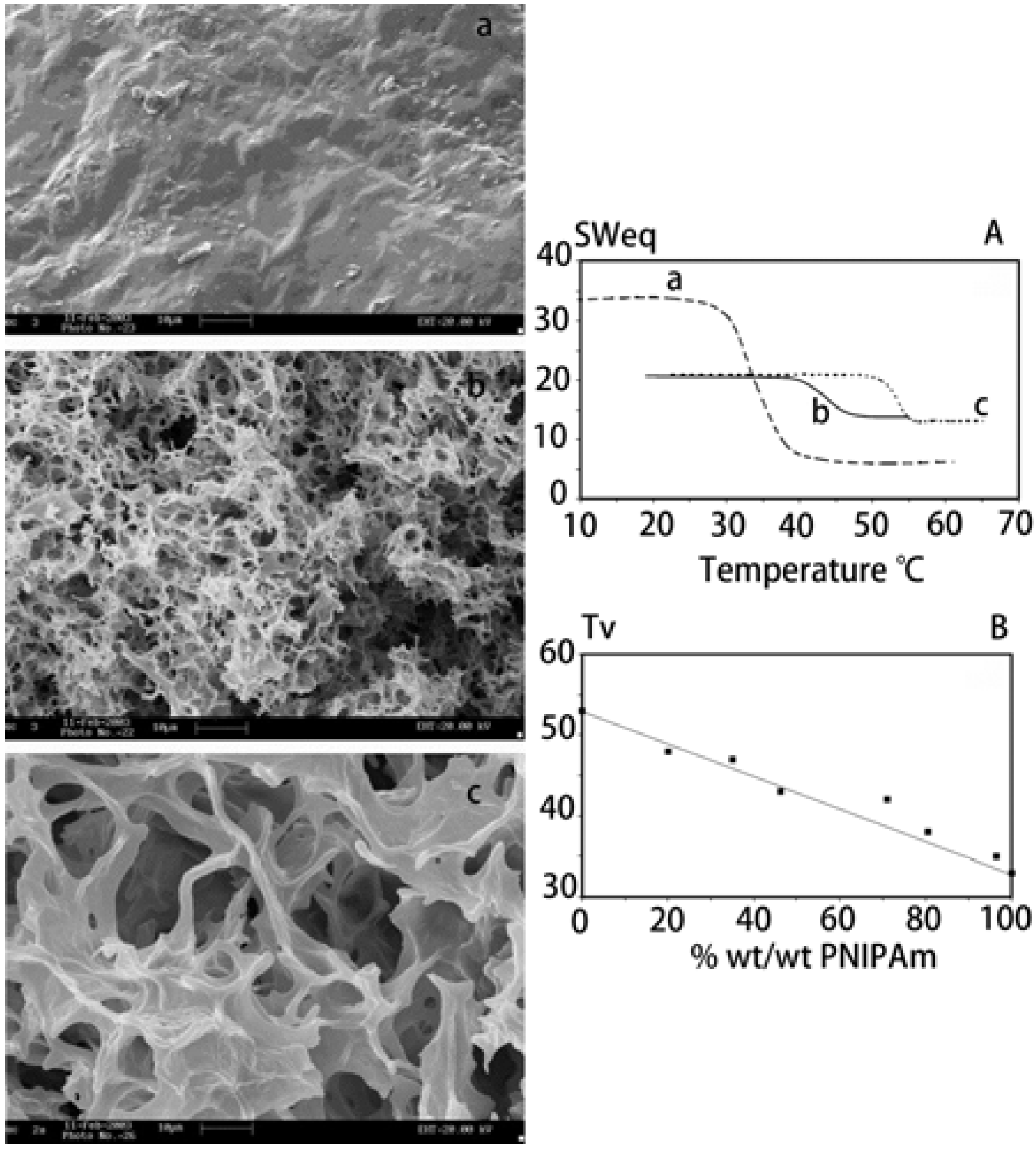 Materials 06 00738 g017