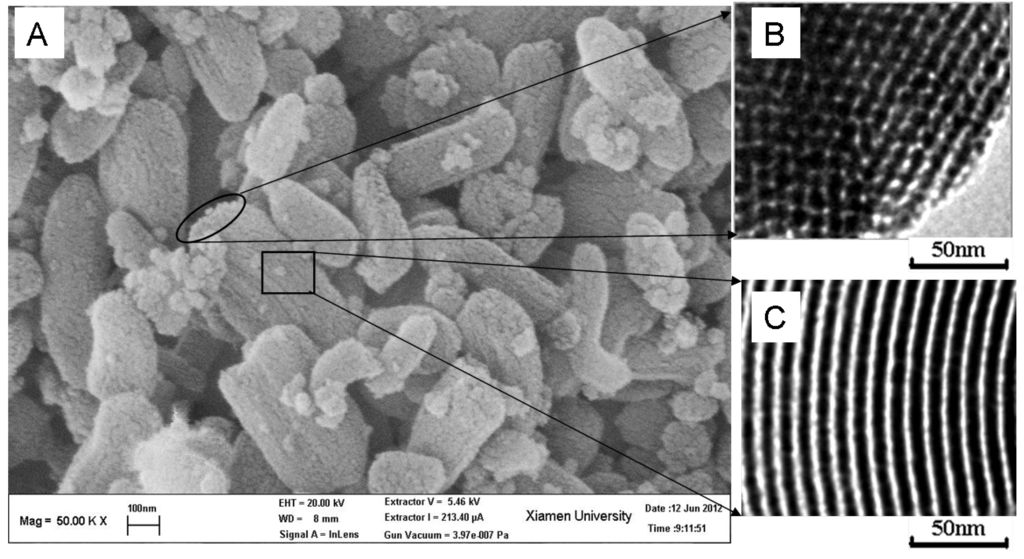 Materials 06 00981 g003 1024