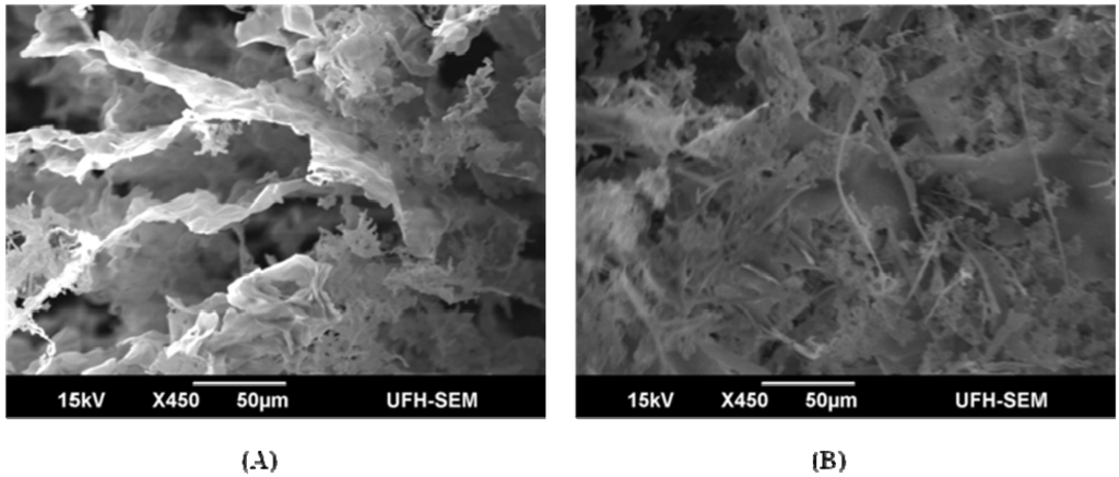 Materials 06 01237 g006 1024