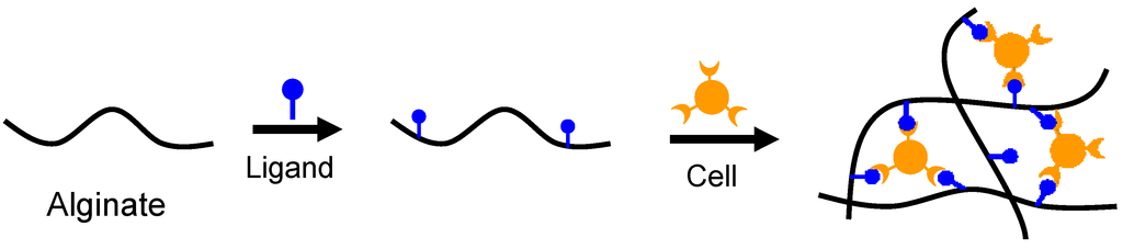 Materials 06 01285 g003 1024