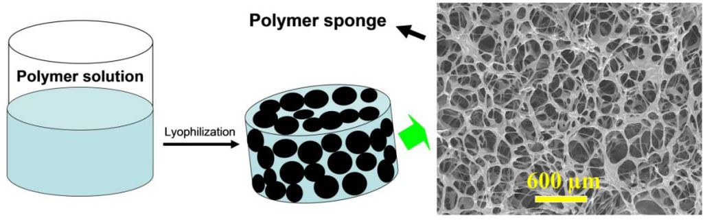 Materials 06 01285 g008 1024