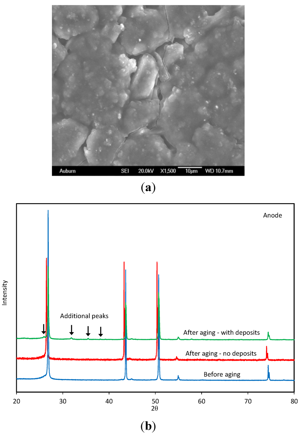 Materials 06 01310 g004 1024