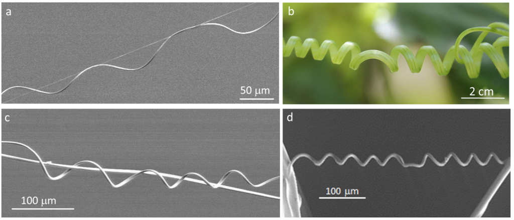 Materials 06 01377 g001 1024