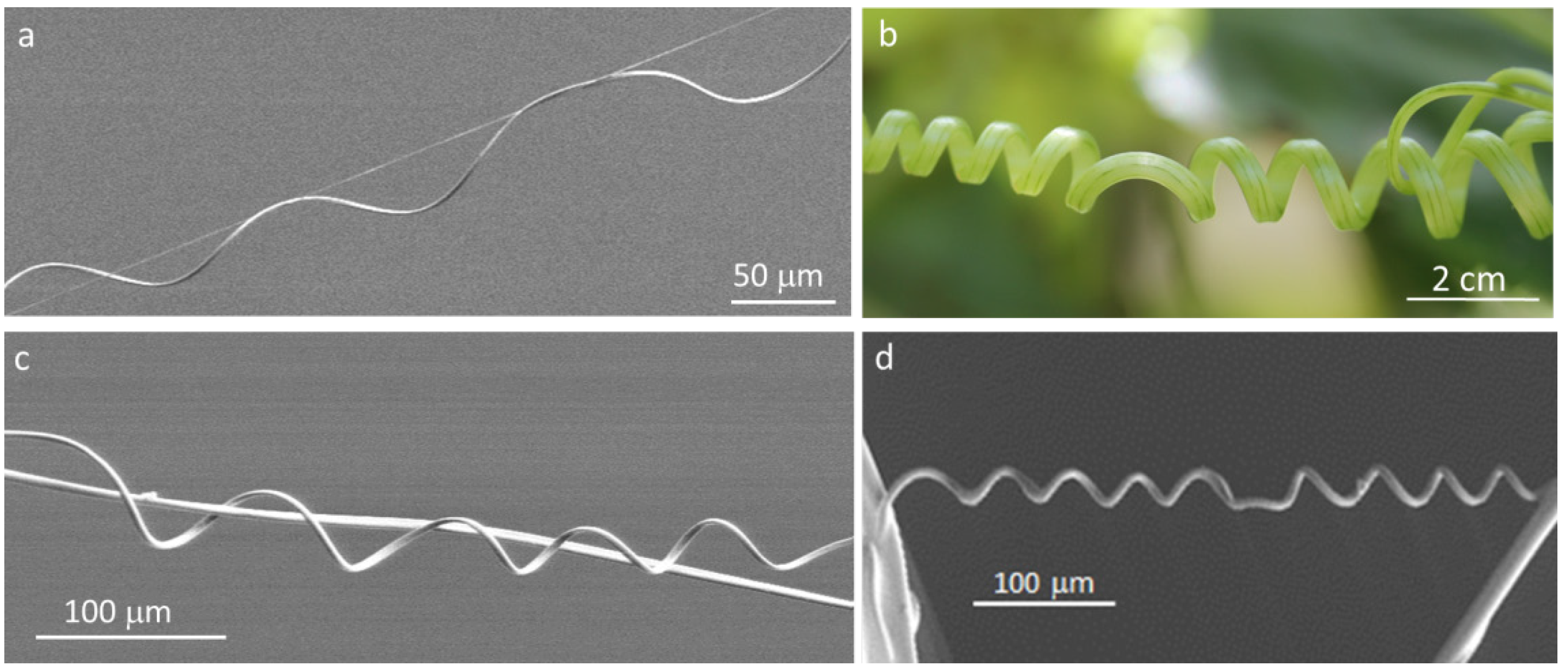 Materials 06 01377 g001