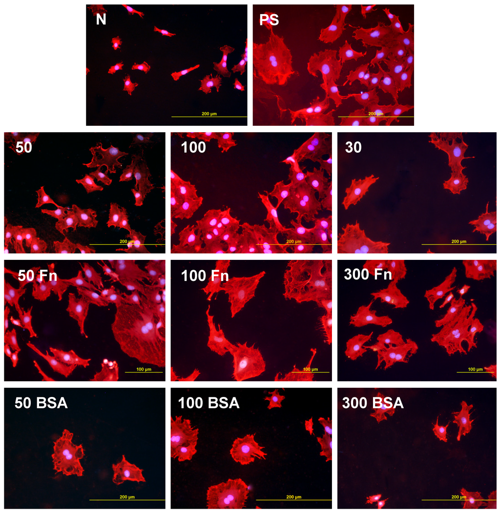 Materials 06 01632 g005 1024