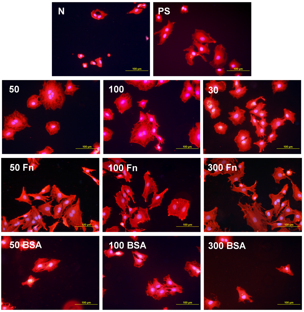 Materials 06 01632 g006 1024