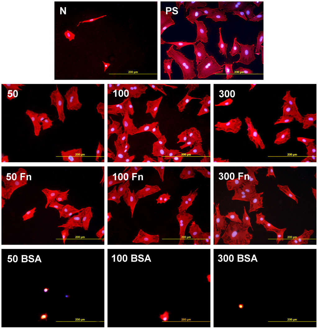 Materials 06 01632 g009 1024