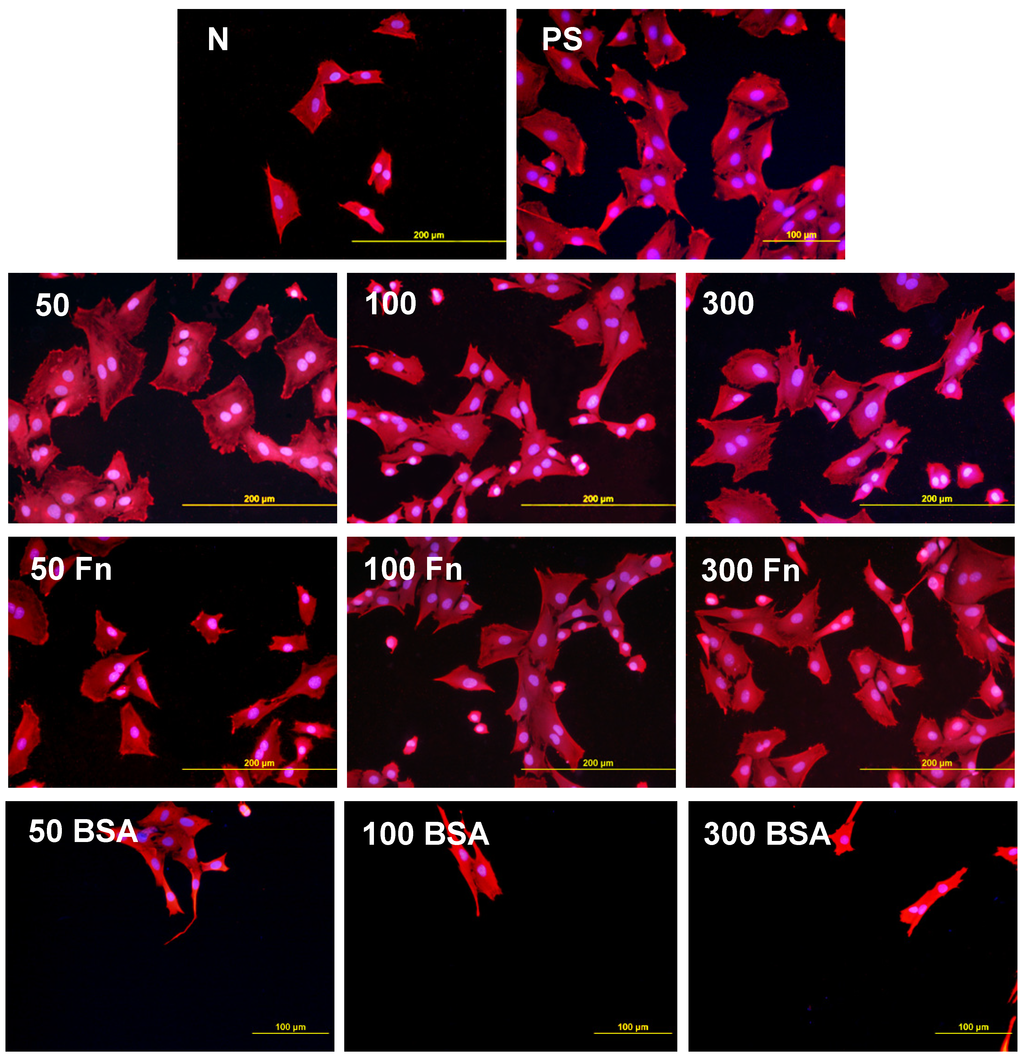 Materials 06 01632 g010 1024
