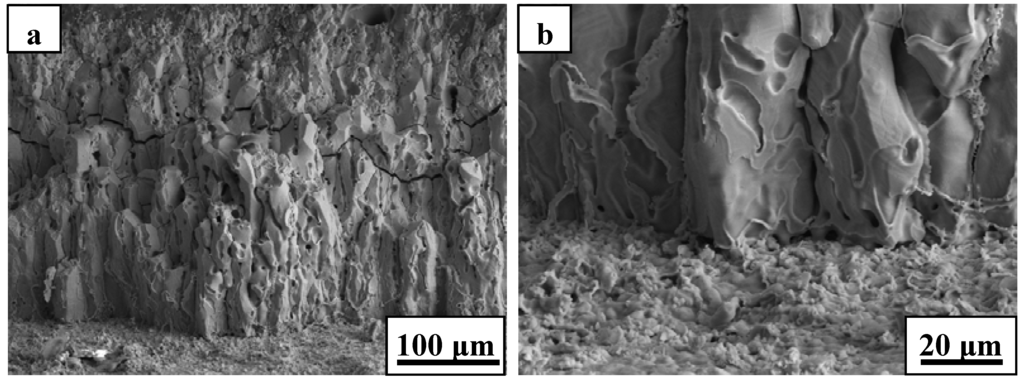 Materials 06 01730 g004 1024