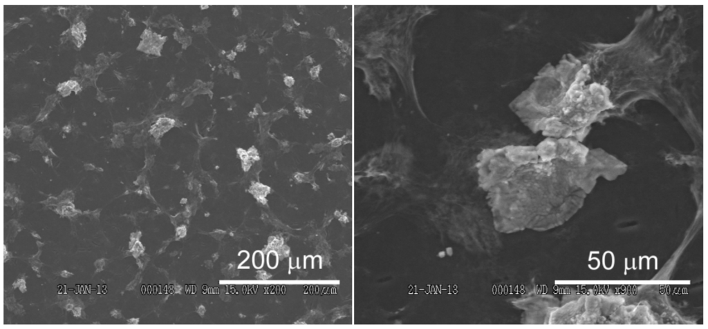 Materials 06 01840 g002 1024