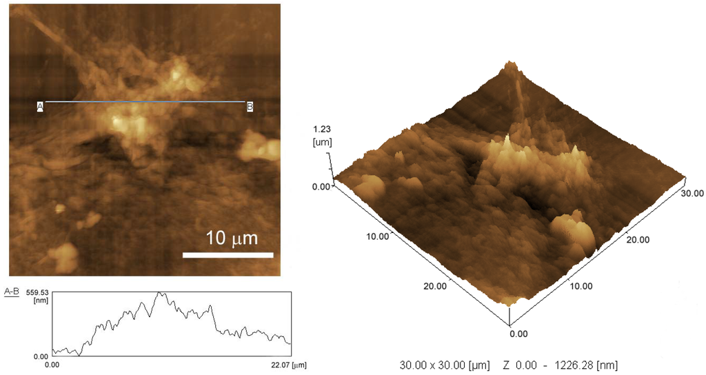 Materials 06 01840 g003 1024