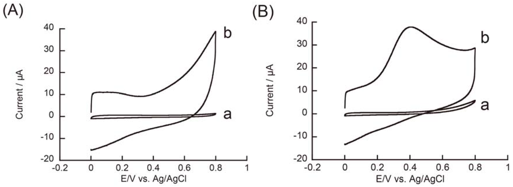 Materials 06 01840 g006a 1024