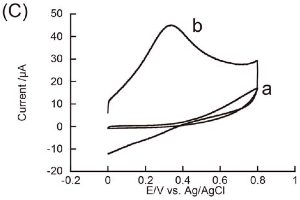 Materials 06 01840 g006b 1024