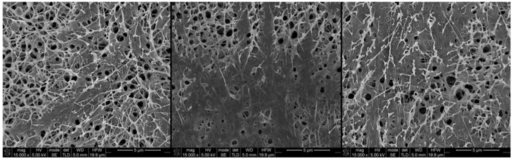 Materials 06 01956 g002 1024