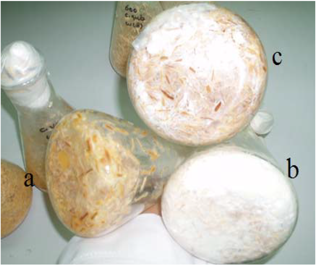 Materials 06 02059 g001 1024