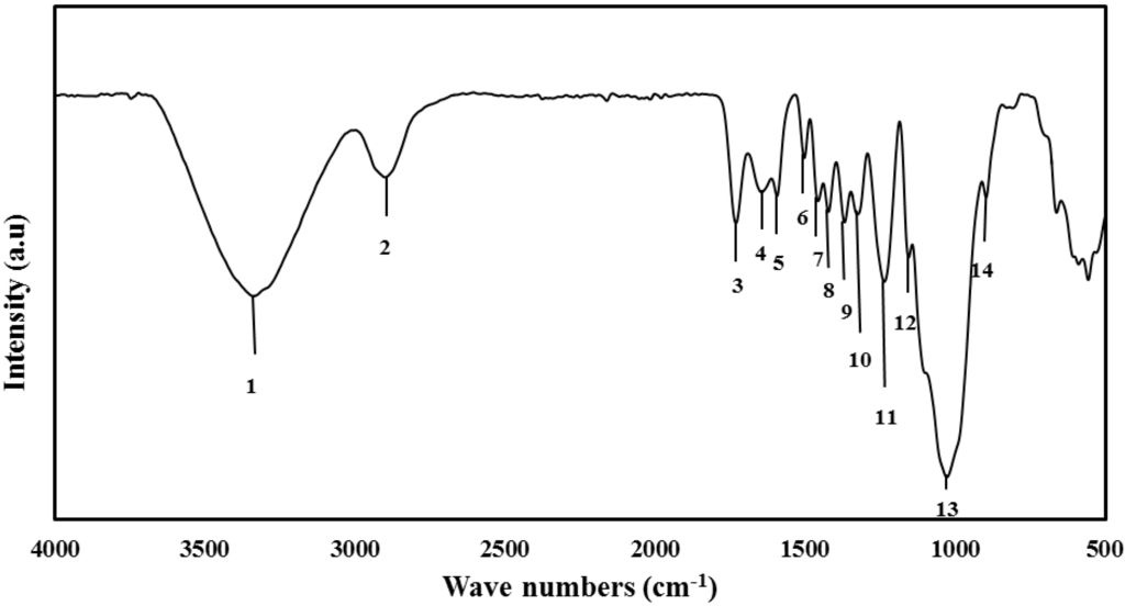 Materials 06 02059 g002 1024