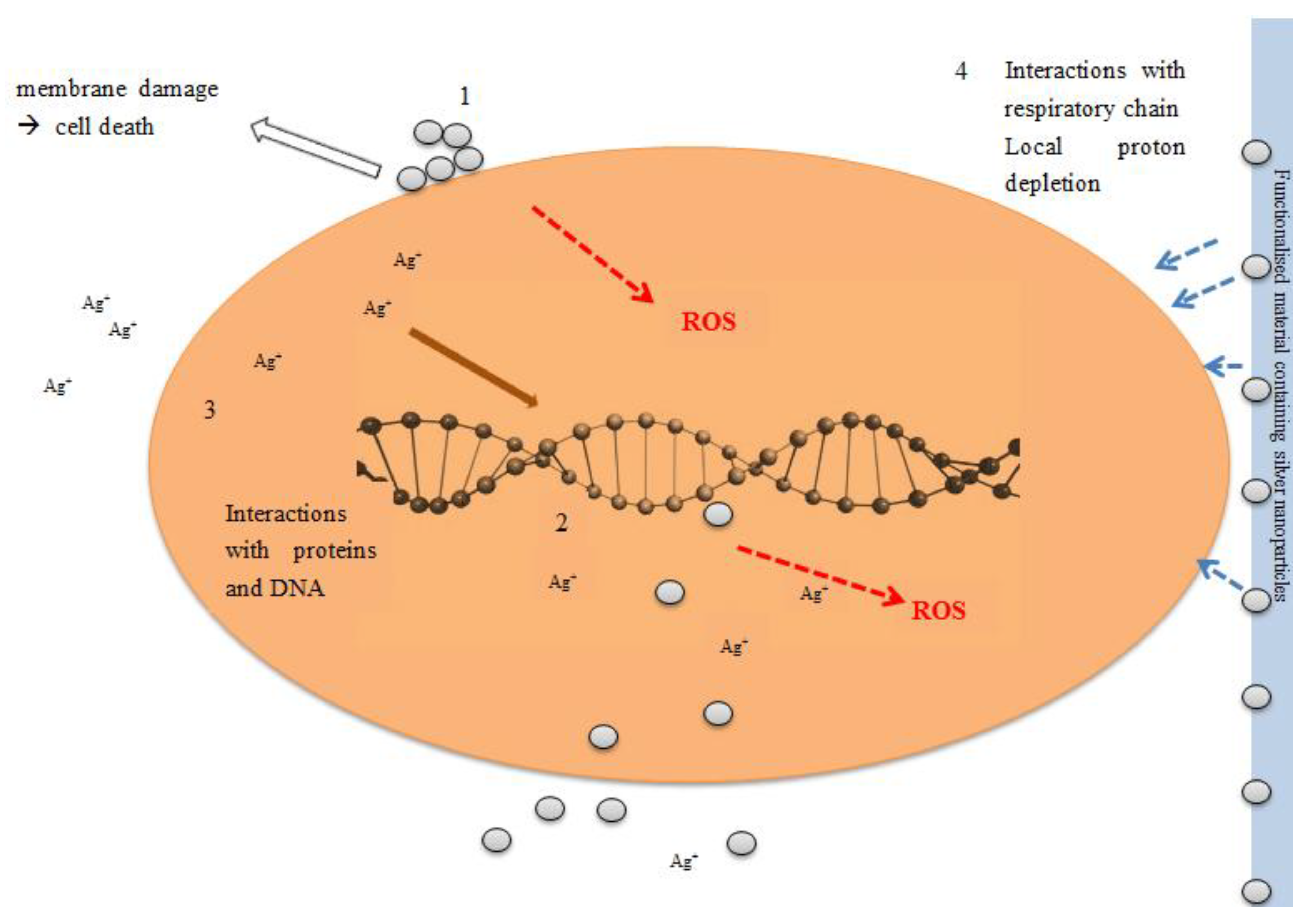 Materials 06 02295 g003