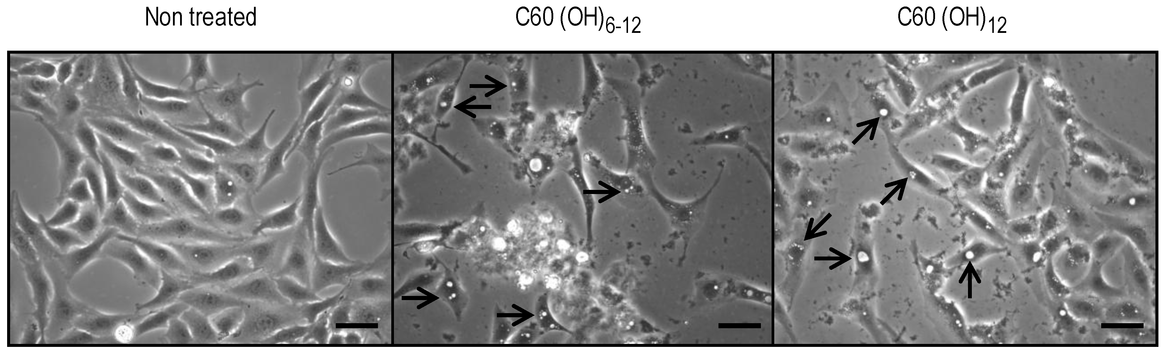 Materials 06 02713 g004