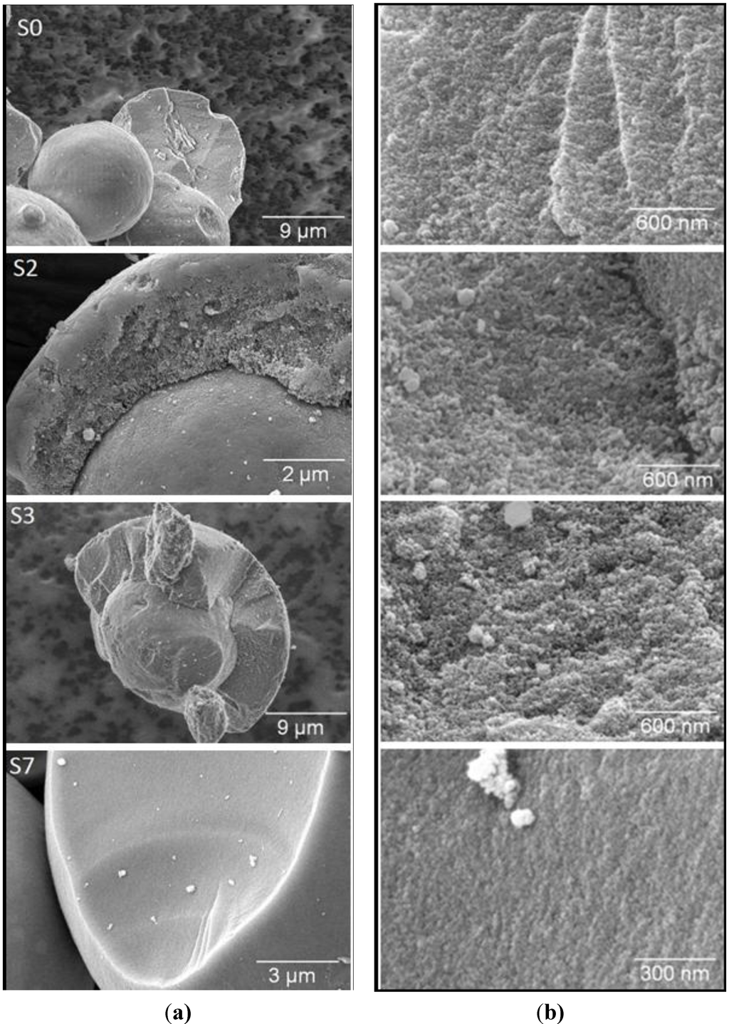 Materials 06 03688 g006 1024