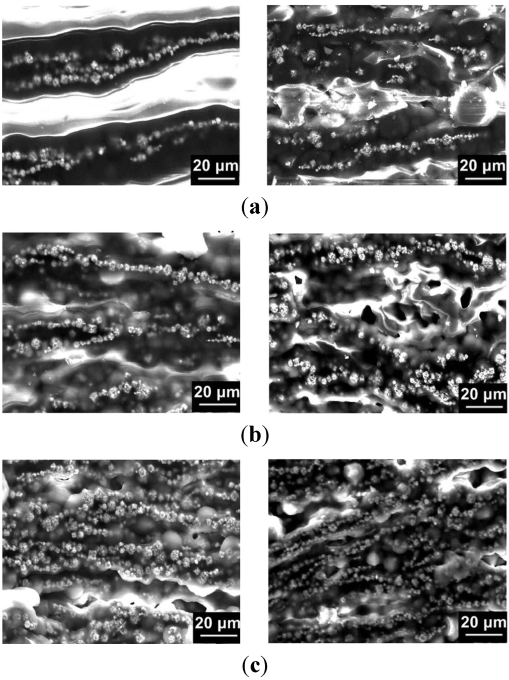 Materials 06 03742 g002 1024