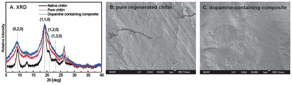 Materials 06 03826 g003 1024