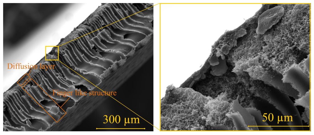 Materials 06 04309 g003 1024