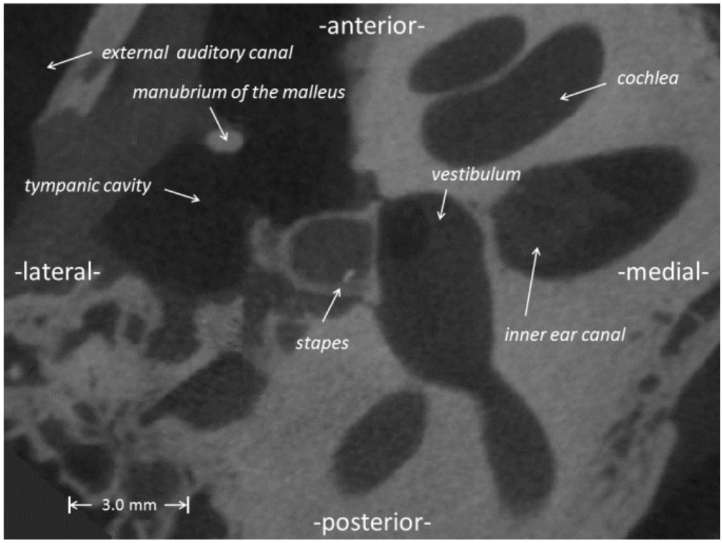 Materials 06 04675 g001 1024