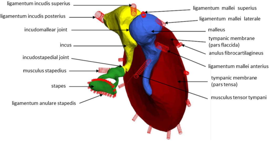 Materials 06 04675 g005 1024