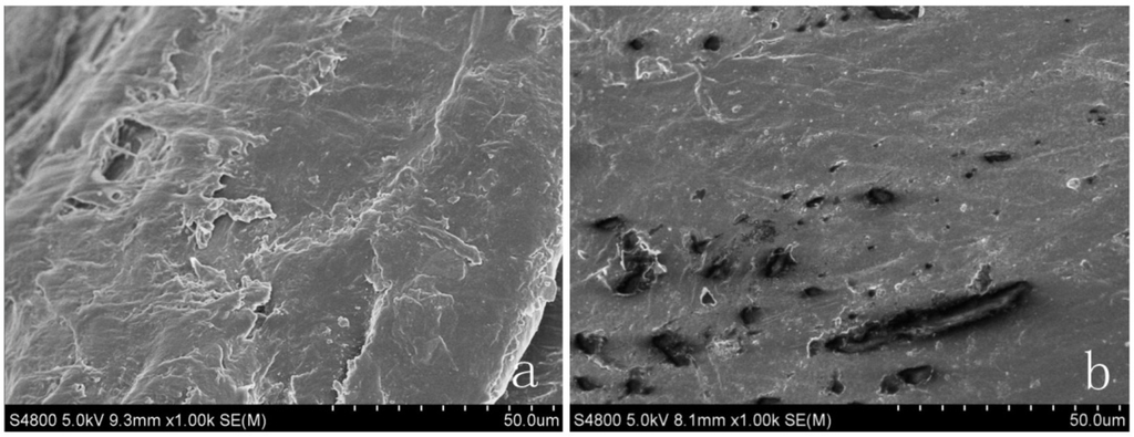 Materials 06 04758 g004 1024